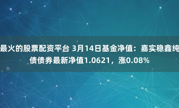 最火的股票配资平台 3月14日基金净值：嘉实稳鑫纯债债券最新净值1.0621，涨0.08%