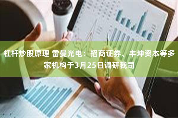 杠杆炒股原理 雷曼光电：招商证券、丰坤资本等多家机构于3月25日调研我司