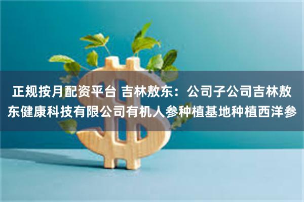 正规按月配资平台 吉林敖东：公司子公司吉林敖东健康科技有限公司有机人参种植基地种植西洋参