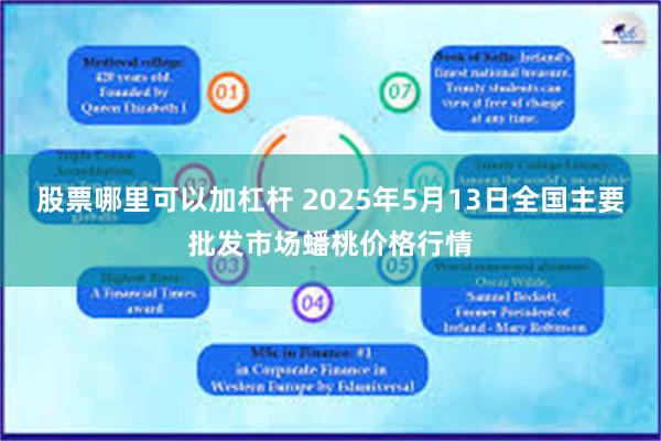 股票哪里可以加杠杆 2025年5月13日全国主要批发市场蟠桃价格行情