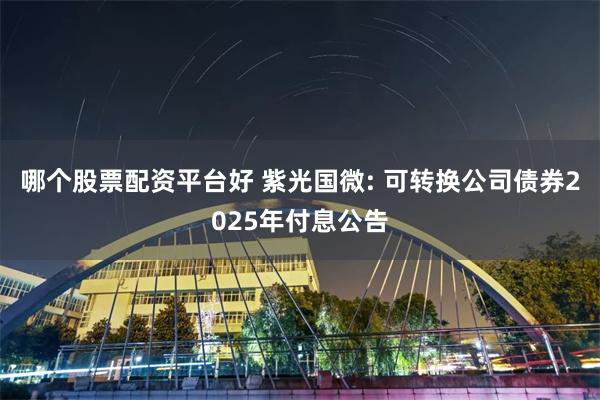 哪个股票配资平台好 紫光国微: 可转换公司债券2025年付息公告