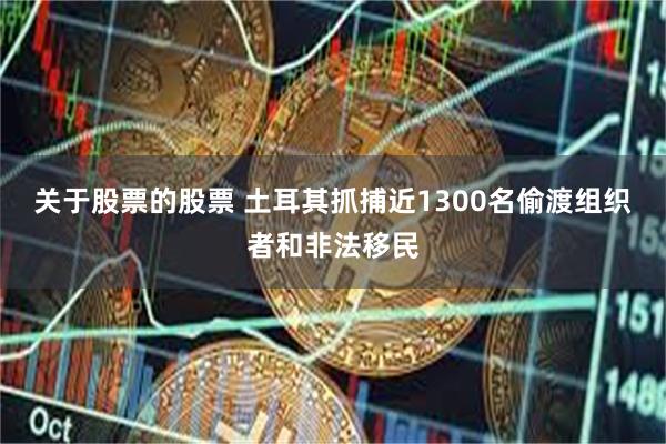 关于股票的股票 土耳其抓捕近1300名偷渡组织者和非法移民