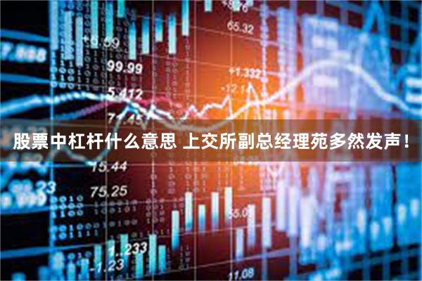股票中杠杆什么意思 上交所副总经理苑多然发声！