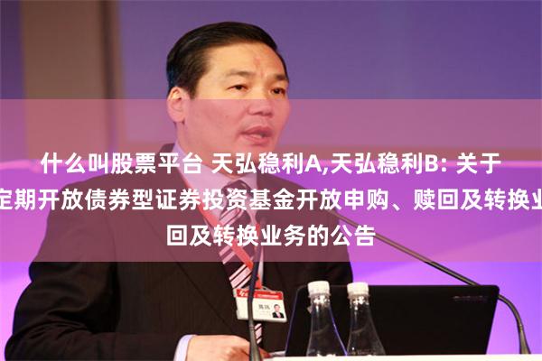 什么叫股票平台 天弘稳利A,天弘稳利B: 关于天弘稳利定期开放债券型证券投资基金开放申购、赎回及转换业务的公告