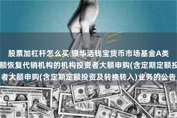 股票加杠杆怎么买 银华活钱宝货币市场基金A类基金份额和F类基金份额恢复代销机构的机构投资者大额申购(含定期定额投资及转换转入)业务的公告