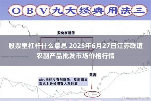 股票里杠杆什么意思 2025年6月27日江苏联谊农副产品批发市场价格行情