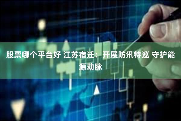 股票哪个平台好 江苏宿迁：开展防汛特巡 守护能源动脉
