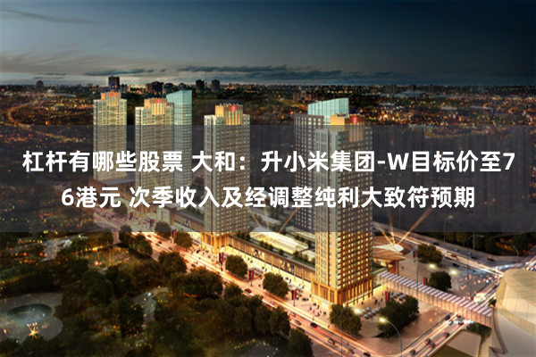 杠杆有哪些股票 大和：升小米集团-W目标价至76港元 次季收入及经调整纯利大致符预期