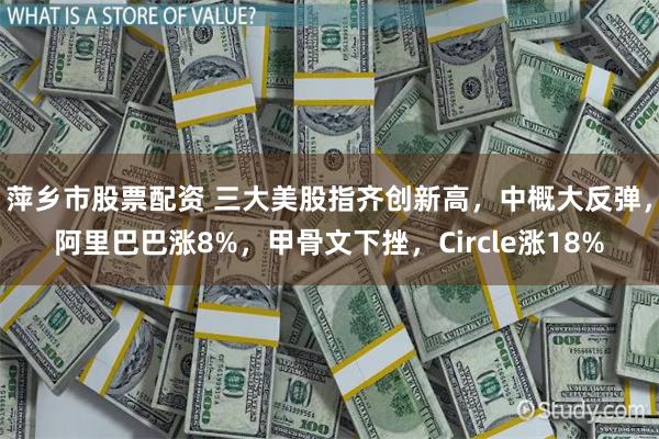 萍乡市股票配资 三大美股指齐创新高，中概大反弹，阿里巴巴涨8%，甲骨文下挫，Circle涨18%