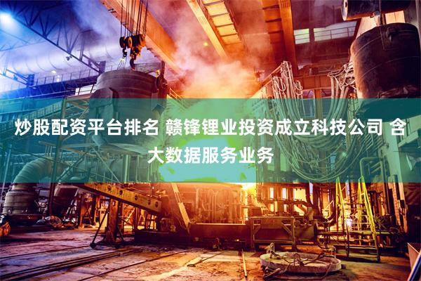 炒股配资平台排名 赣锋锂业投资成立科技公司 含大数据服务业务